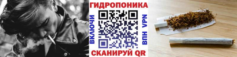 наркошоп Кодинск Бошки Шишки сатива